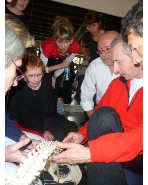 on recherche des vert�bres.....